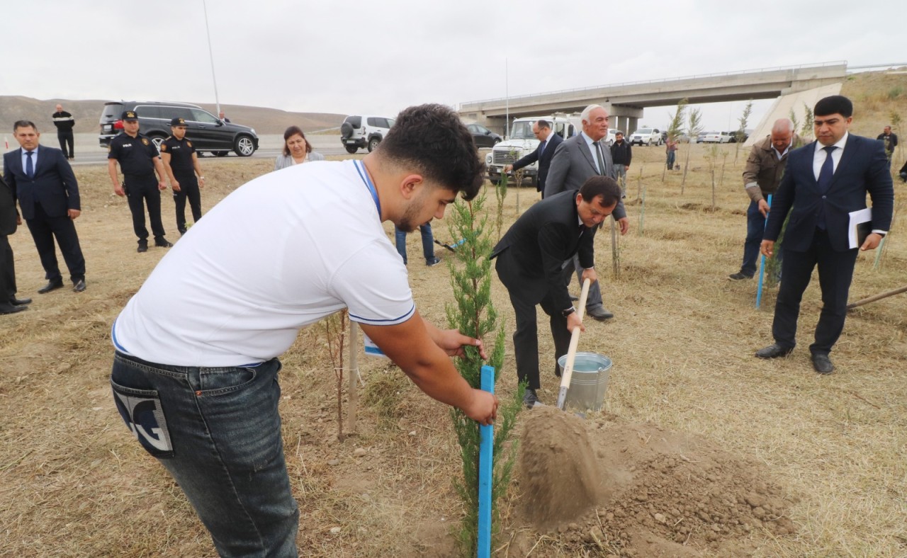 Qazaxda ağacəkmə aksiyası keçirildi - FOTOLAR